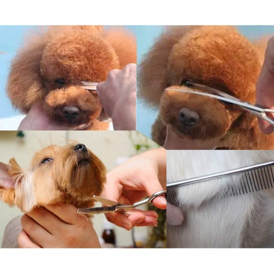 Freewindo Dog Scissors Set Professional with Safety Round Tip, Including Straight Scissors Dog Thinning Scissors Dog Scissors Fur Scissors Curved and Comb for Dog Cat Hair Care Freewindo Dog Scissors Set Professional with Safety Round Tip, Including Straight Scissors Dog Thinning Scissors Dog Scissors Fur Scissors Curved and Comb for Dog Cat Hair Care