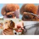 Freewindo Dog Scissors Set Professional with Safety Round Tip, Including Straight Scissors Dog Thinning Scissors Dog Scissors Fur Scissors Curved and Comb for Dog Cat Hair Care