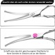 Fur Scissors for Dogs and Cats, Curved Scissors Dog Scissors Set, Professional Round Grooming Scissors, Pet Comb, Made of Robust Stainless Steel (Pink) Fur Scissors for Dogs and Cats, Curved Scissors Dog Scissors Set, Professional Round Grooming Scissors, Pet Comb, Made of Robust Stainless Steel (Pink)