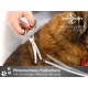 Fur scissors, paw scissors, bent, dogs hair, with micro-serration, 11,5 cm Fur scissors, paw scissors, bent, dogs hair, with micro-serration, 11,5 cm
