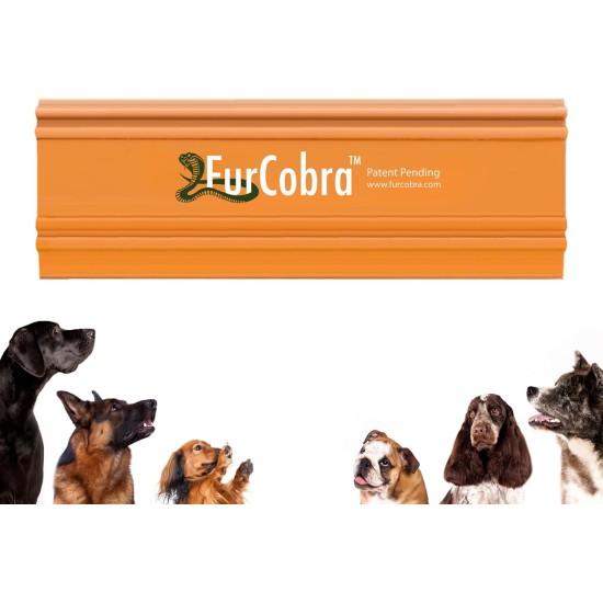 FurCobra Pro Pet Hair Remover Car 4.33 Inches - Lightweight, Compact Tool for Cat and Dog Hair Removal, Scraper for Bed, Couch, Carpet, Household Surfaces - Portable Pet Hair Remover FurCobra Pro Pet Hair Remover Car 4.33 Inches - Lightweight, Compact Tool for Cat and Dog Hair Removal, Scraper for Bed, Couch, Carpet, Household Surfaces - Portable Pet Hair Remover
