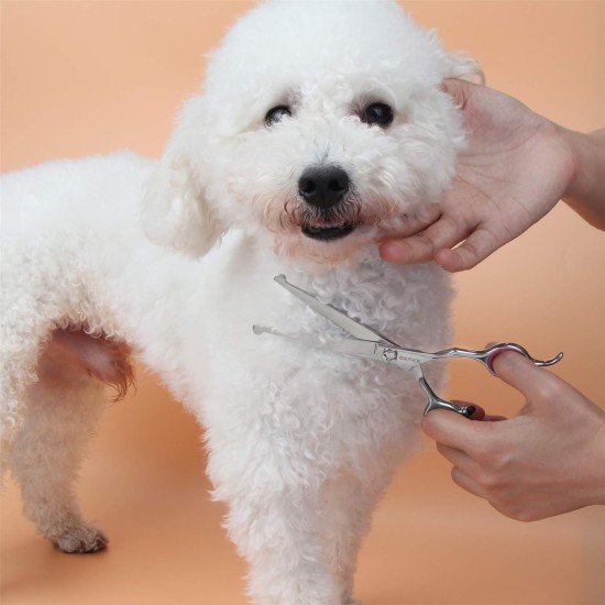 GEMEK Pet Cat Dog Grooming Scissors Set of 4 Stainless Steel Professional Pet Trimmer Kit - 7.5 Inch Straight Scissors, Thinning Scissors, Curved Scissors, Grooming Combs GEMEK Pet Cat Dog Grooming Scissors Set of 4 Stainless Steel Professional Pet Trimmer Kit - 7.5 Inch Straight Scissors, Thinning Scissors, Curved Scissors, Grooming Combs
