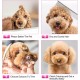 Gimars 4CR Dog Scissors Set Professional 6-in-1 Dog Scissors Grooming Scissors with Bullet Tip, Wear-Proof Titanium-Coated Fur Scissors for Dogs for Cats and Other Animals