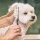 Gimars 4CR Dog Scissors Set Professional 6-in-1 Dog Scissors Grooming Scissors with Bullet Tip, Wear-Proof Titanium-Coated Fur Scissors for Dogs for Cats and Other Animals