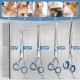 Gimars 4CR Dog Scissors Set Professional 6-in-1 Dog Scissors Grooming Scissors with Bullet Tip, Wear-Proof Titanium-Coated Fur Scissors for Dogs for Cats and Other Animals Gimars 4CR Dog Scissors Set Professional 6-in-1 Dog Scissors Grooming Scissors with Bullet Tip, Wear-Proof Titanium-Coated Fur Scissors for Dogs for Cats and Other Animals