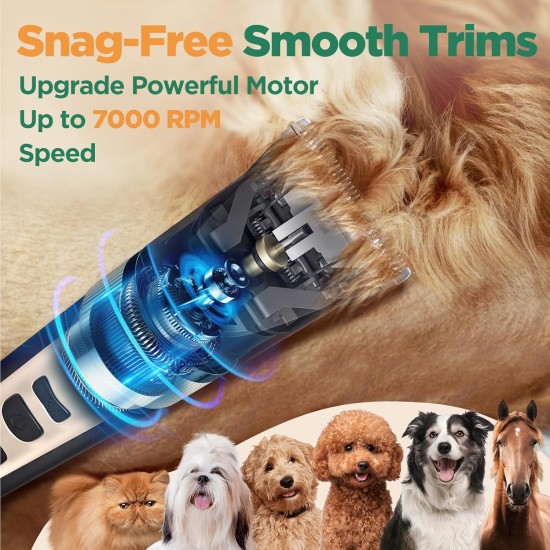 Gimars 6-in-1 Dog Clipper with Professional Scissors Set, 7000 rpm Quiet Dog Clippers, Rechargeable Wireless Dog Hair Trimmer, Pet Hair Trimmer, Dog Shaver for Thick Fur Gimars 6-in-1 Dog Clipper with Professional Scissors Set, 7000 rpm Quiet Dog Clippers, Rechargeable Wireless Dog Hair Trimmer, Pet Hair Trimmer, Dog Shaver for Thick Fur