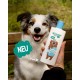 Glückstier Dog Shampoo, 250 ml, Replenishing Shampoo for All Dog Breeds, For Shiny, Easy-to-Comb Coat, Adapted pH Value, 100% Vegan & Cruelty Free Glückstier Dog Shampoo, 250 ml, Replenishing Shampoo for All Dog Breeds, For Shiny, Easy-to-Comb Coat, Adapted pH Value, 100% Vegan & Cruelty Free