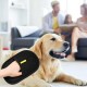 Glove Pet Hair Removal, Cat Hair Remover, 3 in 1 Pet Hair Remover and Pet Hair Remover Glove, Effective Removal of Dog Hair and Cat Hair on Clothes, Furniture and Carpets Glove Pet Hair Removal, Cat Hair Remover, 3 in 1 Pet Hair Remover and Pet Hair Remover Glove, Effective Removal of Dog Hair and Cat Hair on Clothes, Furniture and Carpets