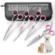 GoldOars Dog Scissors 6 in 1 Curved Dog Scissors Set Professional Stainless Steel Thinning Scissors for Cats - with 7.5 Inch Scissors Thinning Scissors, Curved Scissors, Grooming Comb