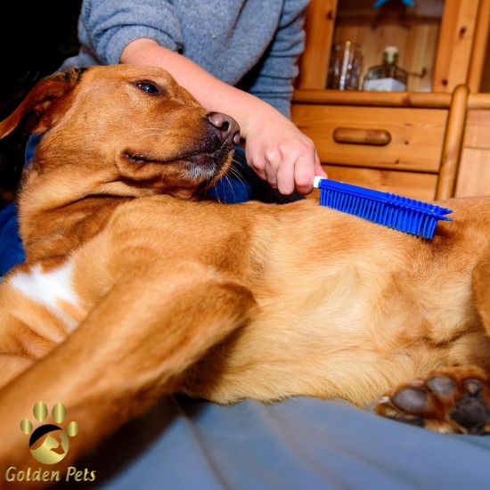 Golden Pets Special Brush I Pet Hair Remover, Dog Brush, Cat Brush I For Vehicle Upholstery & Textile Surfaces I Gentle Massage Effect for Dogs and Cats I + Free E-Book Care Manual (English language Golden Pets Special Brush I Pet Hair Remover, Dog Brush, Cat Brush I For Vehicle Upholstery & Textile Surfaces I Gentle Massage Effect for Dogs and Cats I + Free E-Book Care Manual (English language