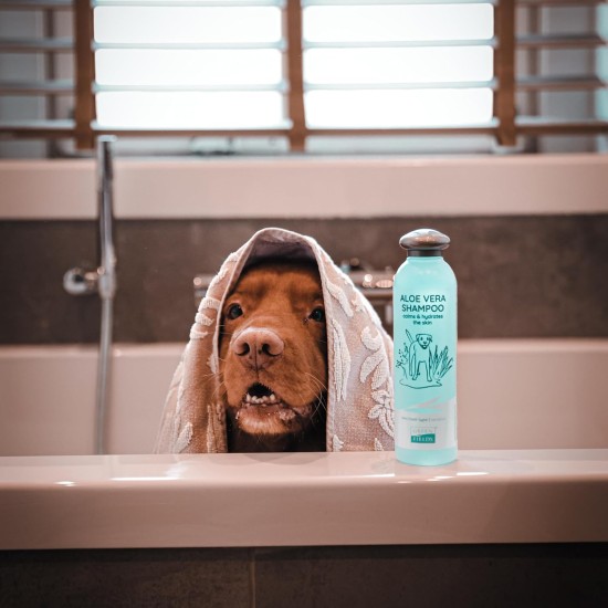 Greenfields Dog Aloe Vera Shampoo 250ml Greenfields Dog Aloe Vera Shampoo 250ml