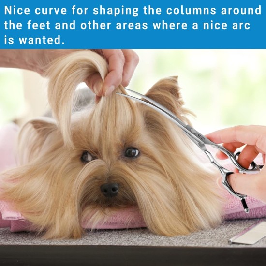 HASHIMOTO Dog Grooming Scissors, Curved Scissors for Dog Grooming, 6.5 Inch, 30 Degree Curved Blade, Lightweight Pet Scissors for Trimming Face and Paws HASHIMOTO Dog Grooming Scissors, Curved Scissors for Dog Grooming, 6.5 Inch, 30 Degree Curved Blade, Lightweight Pet Scissors for Trimming Face and Paws