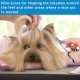 HASHIMOTO Dog Grooming Scissors, Curved Scissors for Dog Grooming, 6.5 Inch, 30 Degree Curved Blade, Lightweight Pet Scissors for Trimming Face and Paws HASHIMOTO Dog Grooming Scissors, Curved Scissors for Dog Grooming, 6.5 Inch, 30 Degree Curved Blade, Lightweight Pet Scissors for Trimming Face and Paws