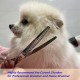 HASHIMOTO Dog Grooming Scissors, Curved Scissors for Dog Grooming, 7.5 Inches, 30 Degree Curved Blade, Lightweight Pet Scissors for Trimming Face and Paws HASHIMOTO Dog Grooming Scissors, Curved Scissors for Dog Grooming, 7.5 Inches, 30 Degree Curved Blade, Lightweight Pet Scissors for Trimming Face and Paws