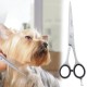 Haryali London Straight Dog Grooming Scissors 7 Inch Precision Stainless Steel Tools for Cats, Pet Hair, Trimming and Grooming Haryali London Straight Dog Grooming Scissors 7 Inch Precision Stainless Steel Tools for Cats, Pet Hair, Trimming and Grooming