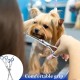 Hillylolly Dog Scissors Set Professional 6-in-1 Hair Scissors Dog Professional Dog Scissors Fur Scissors Long Hair Dog Scissors Grooming Scissors Set Dog Hair Scissors Rounded for Grooming Dog Cat Pet