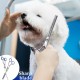 Hillylolly Dog Scissors Set Professional 6-in-1 Hair Scissors Dog Professional Dog Scissors Fur Scissors Long Hair Dog Scissors Grooming Scissors Set Dog Hair Scissors Rounded for Grooming Dog Cat Pet