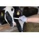 Hoof Knife PROFI for Blade single-edge, left hand, broad - A01171 Hoof Knife PROFI for Blade single-edge, left hand, broad - A01171