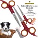 Hundefreund Dog Scissors - Set of 2 Scissors for Grooming Dogs - Stainless Steel Dog Grooming Scissors with Rounded Tip - Ideal for Paw Care and Hair Cutting
