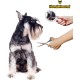 Hundefreund Dog Scissors Set with Thinning Scissors for Grooming | Stainless Steel Scissors with Rounded Tip for Dog Grooming