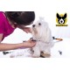 Hundefreund Dog Scissors Set with Thinning Scissors for Grooming | Stainless Steel Scissors with Rounded Tip for Dog Grooming