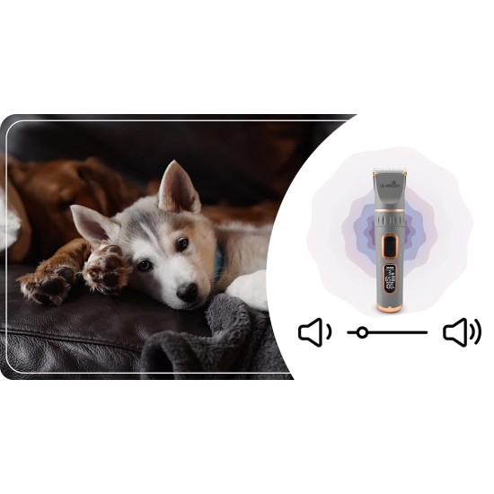 Hundeschermaschine Grooming Set Geräuscharme Schermaschine Für Hunde Katzen 4 Aufsätzen 3 bis 12 mm Schere Kamm Krallenschneider Feile Grau Hundeschermaschine Grooming Set Geräuscharme Schermaschine Für Hunde Katzen 4 Aufsätzen 3 bis 12 mm Schere Kamm Krallenschneider Feile Grau
