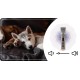 Hundeschermaschine Grooming Set Geräuscharme Schermaschine Für Hunde Katzen 4 Aufsätzen 3 bis 12 mm Schere Kamm Krallenschneider Feile Grau Hundeschermaschine Grooming Set Geräuscharme Schermaschine Für Hunde Katzen 4 Aufsätzen 3 bis 12 mm Schere Kamm Krallenschneider Feile Grau