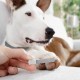 InnovaGoods LED Nail Clippers for Pets InnovaGoods LED Nail Clippers for Pets