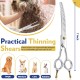 JASON 7.5 Inch Curved Thinning Scissors for Dogs 43 Teeth Professional Downward Curved Dog Scissors Made of Japanese 440C Stainless Steel Fur Scissors with Symmetrical Handle JASON 7.5 Inch Curved Thinning Scissors for Dogs 43 Teeth Professional Downward Curved Dog Scissors Made of Japanese 440C Stainless Steel Fur Scissors with Symmetrical Handle