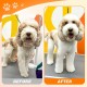 JASON Dog Grooming Scissors Kit, Professional 6 in 1 Dog Scissors Set - 6.5" Thinning, 7" Straight, 7" Up-Curved, 7" Down-Curved Shears and Comb for Dog Cat Pet (Silver)