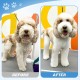 JASON Dog Grooming Scissors Kit, Professional 6 in 1 Dog Scissors Set - 6.5" Thinning, 7" Straight, 7" Up-Curved, 7" Down-Curved Shears and Comb for Dog Cat Pet (Silver)