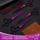 JASON Dog Grooming Scissors Set Professional 6 in 1 Dog Shears Kit - 6.5" Thinning, 7" Straight, 7" Up-Curved, 7" Down-Curved Shears and Comb for Dog Cat Pet with Adjustable Screw (Black) JASON Dog Grooming Scissors Set Professional 6 in 1 Dog Shears Kit - 6.5" Thinning, 7" Straight, 7" Up-Curved, 7" Down-Curved Shears and Comb for Dog Cat Pet with Adjustable Screw (Black)