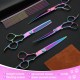 JASON Dog Grooming Scissors Set Professional 6 in 1 Dog Shears Kit - 6.5" Thinning, 7" Straight, 7" Up-Curved, 7" Down-Curved Shears and Comb for Dog Cat Pet with Adjustable Screw (Black) JASON Dog Grooming Scissors Set Professional 6 in 1 Dog Shears Kit - 6.5" Thinning, 7" Straight, 7" Up-Curved, 7" Down-Curved Shears and Comb for Dog Cat Pet with Adjustable Screw (Black)