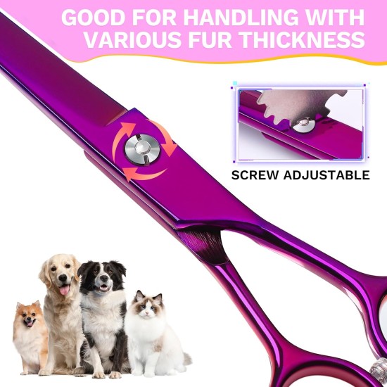 JASON Professional 7.5 Inch Dog Scissors Set 6 in 1 Grooming Scissors Set for Dogs - Straight Curved Dog Scissors 16/36 Teeth Thinning Scissors for Dogs with Ergonomic Handle for Pet Grooming JASON Professional 7.5 Inch Dog Scissors Set 6 in 1 Grooming Scissors Set for Dogs - Straight Curved Dog Scissors 16/36 Teeth Thinning Scissors for Dogs with Ergonomic Handle for Pet Grooming