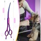 JASON Professional 7.5 Inch Dog Scissors Set 6 in 1 Grooming Scissors Set for Dogs - Straight Curved Dog Scissors 16/36 Teeth Thinning Scissors for Dogs with Ergonomic Handle for Pet Grooming JASON Professional 7.5 Inch Dog Scissors Set 6 in 1 Grooming Scissors Set for Dogs - Straight Curved Dog Scissors 16/36 Teeth Thinning Scissors for Dogs with Ergonomic Handle for Pet Grooming