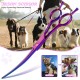 JASON Professional 7.5 Inch Dog Scissors Set 6 in 1 Grooming Scissors Set for Dogs - Straight Curved Dog Scissors 16/36 Teeth Thinning Scissors for Dogs with Ergonomic Handle for Pet Grooming JASON Professional 7.5 Inch Dog Scissors Set 6 in 1 Grooming Scissors Set for Dogs - Straight Curved Dog Scissors 16/36 Teeth Thinning Scissors for Dogs with Ergonomic Handle for Pet Grooming