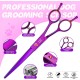 JASON Professional 7.5 Inch Dog Scissors Set 6 in 1 Grooming Scissors Set for Dogs - Straight Curved Dog Scissors 16/36 Teeth Thinning Scissors for Dogs with Ergonomic Handle for Pet Grooming JASON Professional 7.5 Inch Dog Scissors Set 6 in 1 Grooming Scissors Set for Dogs - Straight Curved Dog Scissors 16/36 Teeth Thinning Scissors for Dogs with Ergonomic Handle for Pet Grooming