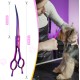JASON Professional 7.5 Inch Dog Scissors Set 6 in 1 Grooming Scissors Set for Dogs - Straight Curved Dog Scissors 16/36 Teeth Thinning Scissors for Dogs with Ergonomic Handle for Pet Grooming JASON Professional 7.5 Inch Dog Scissors Set 6 in 1 Grooming Scissors Set for Dogs - Straight Curved Dog Scissors 16/36 Teeth Thinning Scissors for Dogs with Ergonomic Handle for Pet Grooming