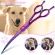 JASON Professional 7.5 Inch Dog Scissors Set 6 in 1 Grooming Scissors Set for Dogs - Straight Curved Dog Scissors 16/36 Teeth Thinning Scissors for Dogs with Ergonomic Handle for Pet Grooming JASON Professional 7.5 Inch Dog Scissors Set 6 in 1 Grooming Scissors Set for Dogs - Straight Curved Dog Scissors 16/36 Teeth Thinning Scissors for Dogs with Ergonomic Handle for Pet Grooming