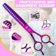 JASON Professional 7.5 Inch Dog Scissors Set 6 in 1 Grooming Scissors Set for Dogs - Straight Curved Dog Scissors 16/36 Teeth Thinning Scissors for Dogs with Ergonomic Handle for Pet Grooming JASON Professional 7.5 Inch Dog Scissors Set 6 in 1 Grooming Scissors Set for Dogs - Straight Curved Dog Scissors 16/36 Teeth Thinning Scissors for Dogs with Ergonomic Handle for Pet Grooming