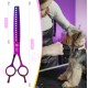 JASON Professional 7.5 Inch Dog Scissors Set 6 in 1 Grooming Scissors Set for Dogs - Straight Curved Dog Scissors 16/36 Teeth Thinning Scissors for Dogs with Ergonomic Handle for Pet Grooming JASON Professional 7.5 Inch Dog Scissors Set 6 in 1 Grooming Scissors Set for Dogs - Straight Curved Dog Scissors 16/36 Teeth Thinning Scissors for Dogs with Ergonomic Handle for Pet Grooming