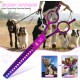 JASON Professional 7.5 Inch Dog Scissors Set 6 in 1 Grooming Scissors Set for Dogs - Straight Curved Dog Scissors 16/36 Teeth Thinning Scissors for Dogs with Ergonomic Handle for Pet Grooming JASON Professional 7.5 Inch Dog Scissors Set 6 in 1 Grooming Scissors Set for Dogs - Straight Curved Dog Scissors 16/36 Teeth Thinning Scissors for Dogs with Ergonomic Handle for Pet Grooming