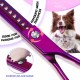 JASON Professional 7.5 Inch Dog Scissors Set 6 in 1 Grooming Scissors Set for Dogs - Straight Curved Dog Scissors 16/36 Teeth Thinning Scissors for Dogs with Ergonomic Handle for Pet Grooming JASON Professional 7.5 Inch Dog Scissors Set 6 in 1 Grooming Scissors Set for Dogs - Straight Curved Dog Scissors 16/36 Teeth Thinning Scissors for Dogs with Ergonomic Handle for Pet Grooming