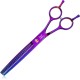 JASON Professional 7.5 Inch Dog Scissors Set 6 in 1 Grooming Scissors Set for Dogs - Straight Curved Dog Scissors 16/36 Teeth Thinning Scissors for Dogs with Ergonomic Handle for Pet Grooming JASON Professional 7.5 Inch Dog Scissors Set 6 in 1 Grooming Scissors Set for Dogs - Straight Curved Dog Scissors 16/36 Teeth Thinning Scissors for Dogs with Ergonomic Handle for Pet Grooming