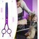 JASON Professional 7.5 Inch Dog Scissors Set 6 in 1 Grooming Scissors Set for Dogs - Straight Curved Dog Scissors 16/36 Teeth Thinning Scissors for Dogs with Ergonomic Handle for Pet Grooming JASON Professional 7.5 Inch Dog Scissors Set 6 in 1 Grooming Scissors Set for Dogs - Straight Curved Dog Scissors 16/36 Teeth Thinning Scissors for Dogs with Ergonomic Handle for Pet Grooming
