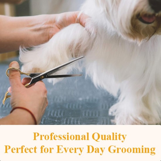 JASON Professional Dog Scissors Grooming Scissors Straight Dog Grooming Scissors Paw Scissors Grooming for Dogs Cats 7.5 Inches JASON Professional Dog Scissors Grooming Scissors Straight Dog Grooming Scissors Paw Scissors Grooming for Dogs Cats 7.5 Inches