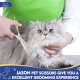 JASON Professional Dog Scissors Grooming Scissors Straight Dog Grooming Scissors Paw Scissors Grooming for Dogs Cats 7.5 Inches