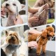 JASON Professional Dog Scissors Set 6 in 1 Fur Scissors for Dogs Set - 7 Inch Straight/Curved/Chunker Thinning Scissors with Ergonomic Handle, Rose Gold JASON Professional Dog Scissors Set 6 in 1 Fur Scissors for Dogs Set - 7 Inch Straight/Curved/Chunker Thinning Scissors with Ergonomic Handle, Rose Gold