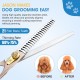 JASON Professional Dog Scissors Set 6 in 1 Fur Scissors for Dogs Set - 7 Inch Straight/Curved/Chunker Thinning Scissors with Ergonomic Handle, Rose Gold JASON Professional Dog Scissors Set 6 in 1 Fur Scissors for Dogs Set - 7 Inch Straight/Curved/Chunker Thinning Scissors with Ergonomic Handle, Rose Gold