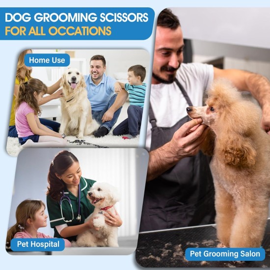 JASON Professional Dog Scissors Set 6 in 1 Fur Scissors for Dogs Set - 7 Inch Straight/Curved/Chunker Thinning Scissors with Ergonomic Handle, Rose Gold JASON Professional Dog Scissors Set 6 in 1 Fur Scissors for Dogs Set - 7 Inch Straight/Curved/Chunker Thinning Scissors with Ergonomic Handle, Rose Gold